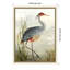 «Gray Heron» par Aimee Wilson, reproduction d'art sur toile encadrée-2074924552