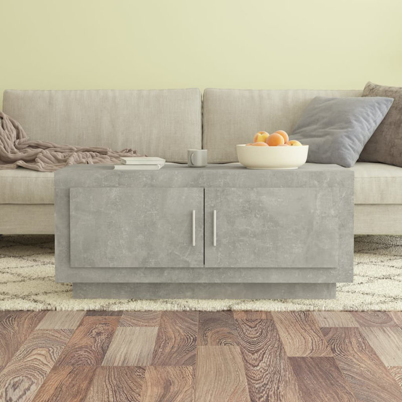 Jahnai Solid Coffee Table with Storage, Concrete Grey