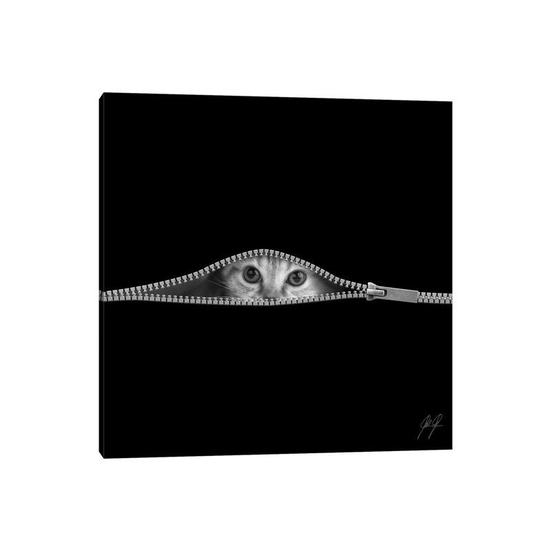 The Timid by Kathrin Federer - Wrapped Canvas Print, 66.04 cm H x 66.04 cm W x 3.175 cm D