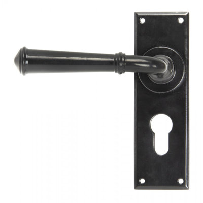 Regency Lock Door Handle Kit