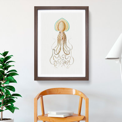 Vintage Squid Vol.1 by Ernst Haeckel - Framed Print