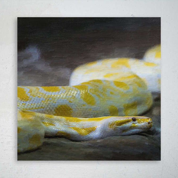 Latitude Run® Shallow Focus Photo Of Burmese Python - Wrapped Canvas ...