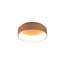 Candye LED Flush Mount-1699118175-1698761631