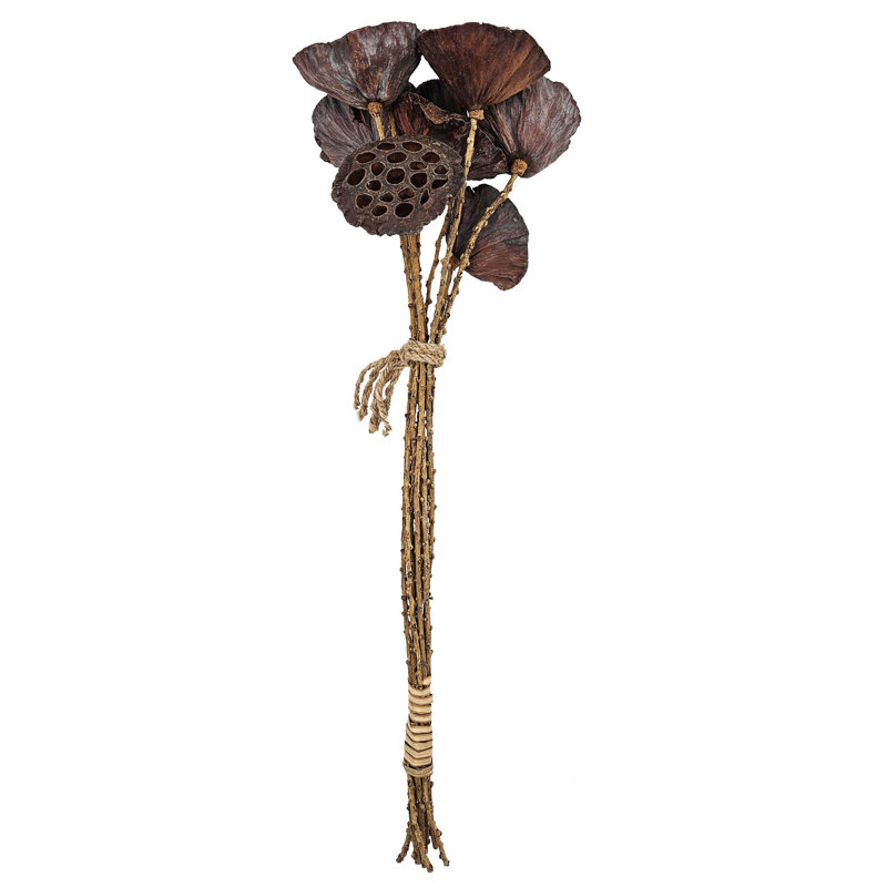 Rope Lotus Pod  Set of 6  23.5"  Natural