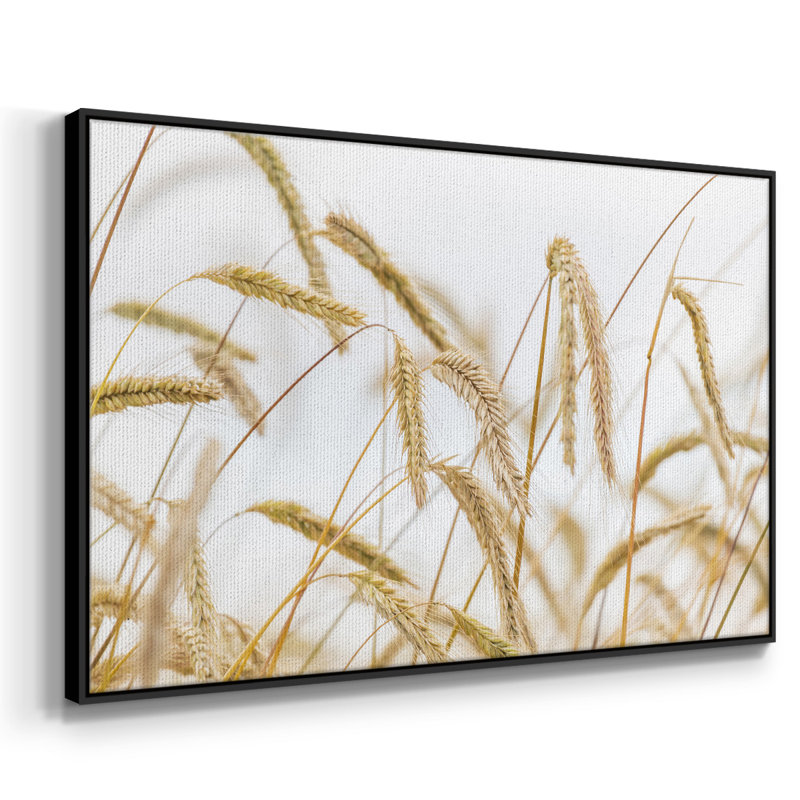 Blé encadré sur toile, H 25 po x l 37 po x P 2 po, Argent