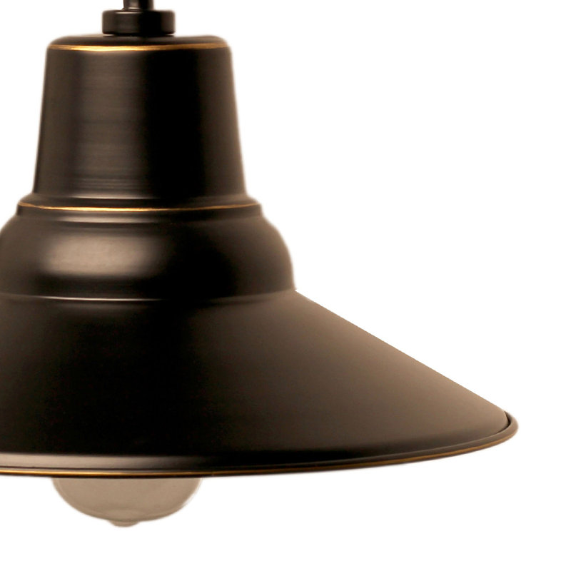 Luminaire de grange d'extérieur à 1 ampoule H 15,75 po Chestertown