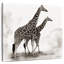 Crowle girafe-109399146