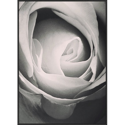 Nicole Gadiel - Single Picture Frame Print