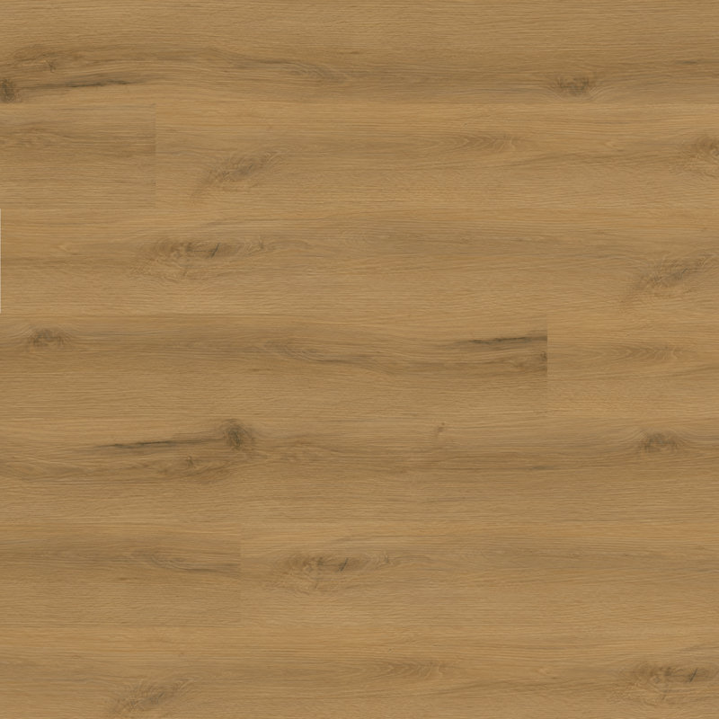 Plancher de vinyle de luxe à âme rigide imperméable Ackland Grovehaven Nordic Nature 9 po x 48 po 8 mm 22 mil