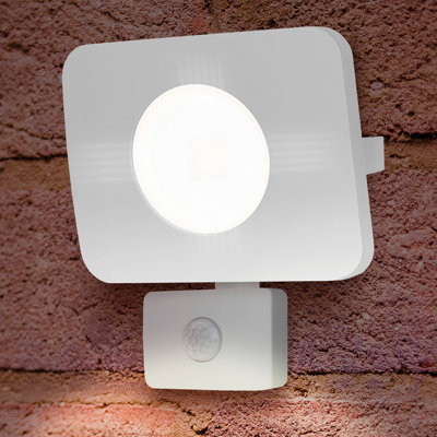 Ostler 1-Light LED Flood Light