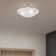Aneudi Glass Semi Flush Mount