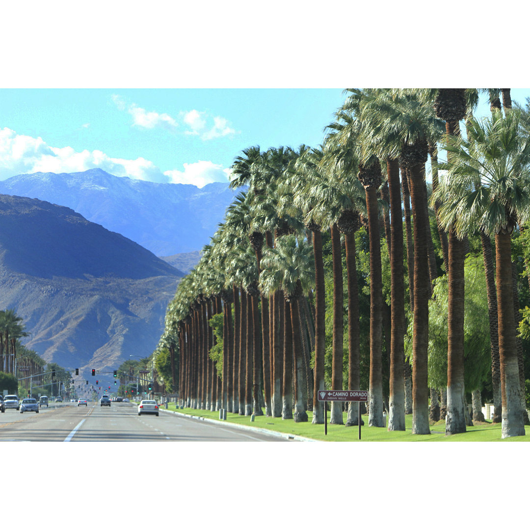 Palm Springs von MCCAIG - Druck