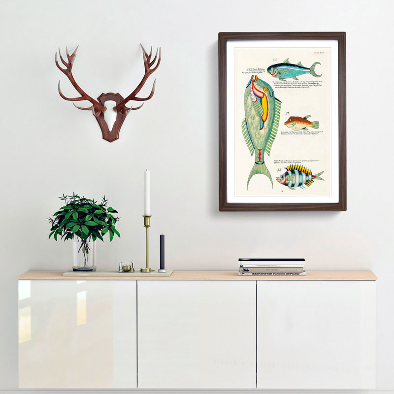 East Indies Fish Illustrations Douzieme by Louis Renard - Picture Frame Painting Print, Walnut Framed