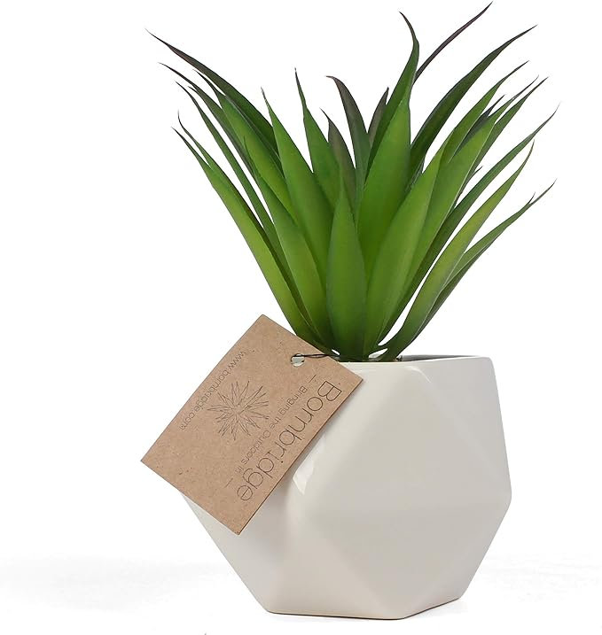 2.75" Artificial Stricta Succulent in Vase