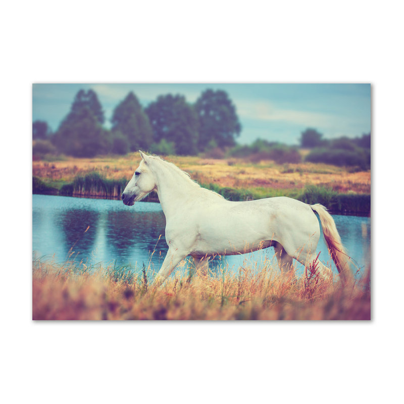 White Horse By The Lake - Wrapped Canvas Print