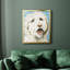 Toile encadrée de qualité supérieure Labradoodle II - prête à être accrochée-42089748-42089749