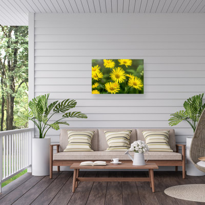 «Yellow Field» par Harri Aho