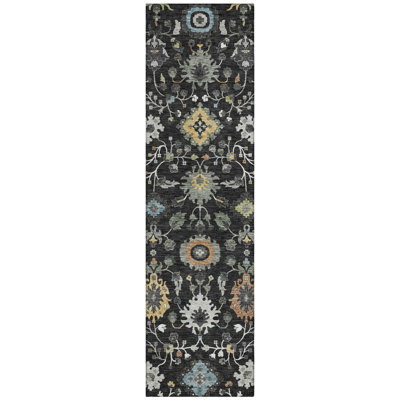 Machine Washable Indoor/Outdoor Chantille ACN2458 Traditional Rug