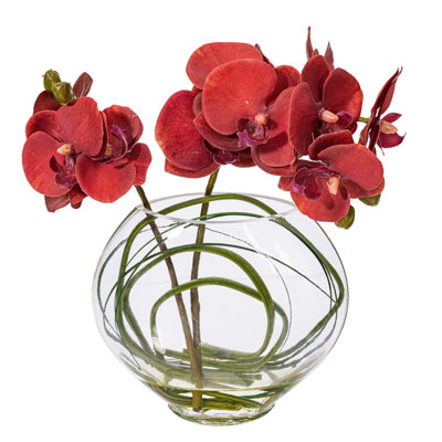 Arrangement floral orchidée en pot