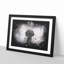 A Dandelion Flower - Framed Print-56876321-56876323