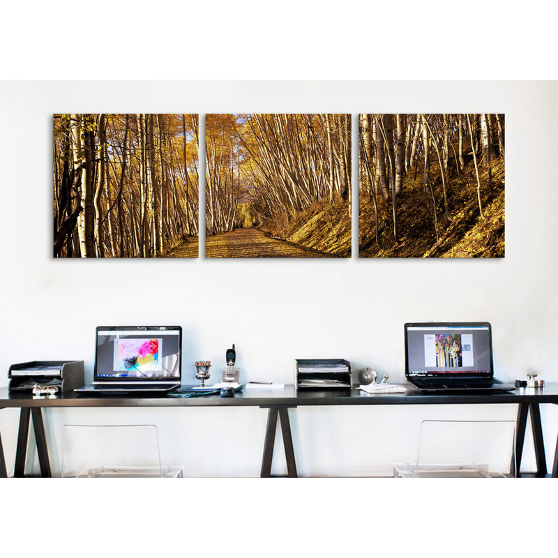 Reproduction de photo sur toile tendue 3 pièces road passing through a forest colorado, états-unis