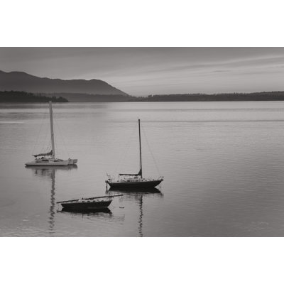 " Bellingham Bay BW " by Alan Majchrowicz