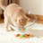 Space Capsule Cat Nest For Small Cats (includes Cat Teaser Wand)