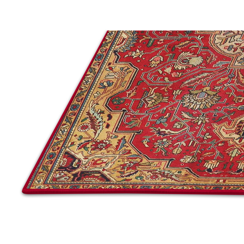 Chauncy Oriental Indoor Rug, Rectangle 4' x 6'
