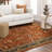 Spice Market Keralam Plush Pile Stain/Fade Resistant Polyester Woven Floral Indoor Area Rug-28671425