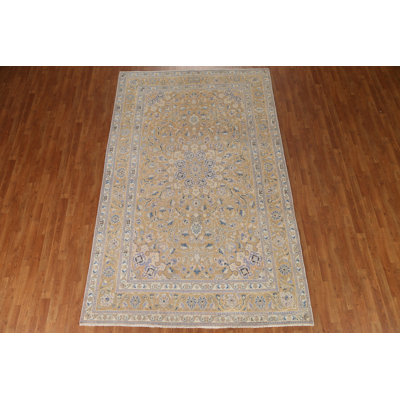 Traditional  Traditional Area Rug 6x10