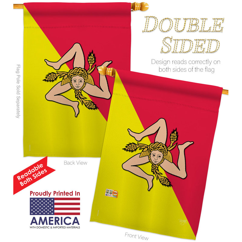 Double Sided 40'' H x 28'' W Polyester House Flag