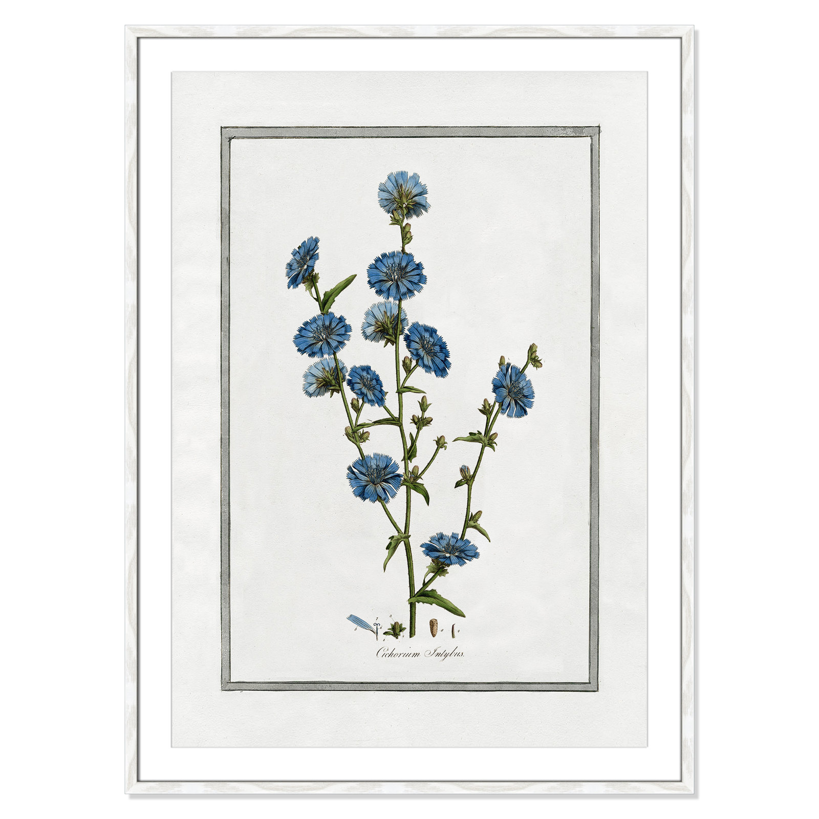 Colombe "Soft Botanical I" Print, 29.5" W x 41.5" H, White Framed