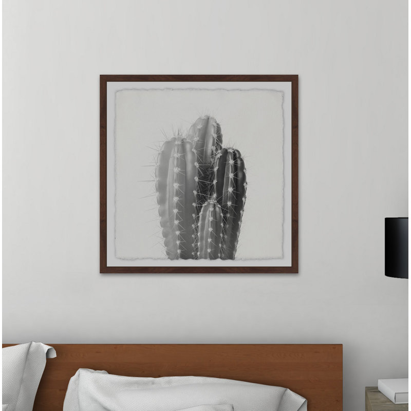 «Four Cacti», reproduction d'art graphique sur papier, H 12 po x l 12 po x P 1,5 po, Cadre brun à bords frangés