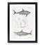 Illustrations of Sharks by J.E. De Kay - Picture Frame Graphic Art Print-55641453-55641454