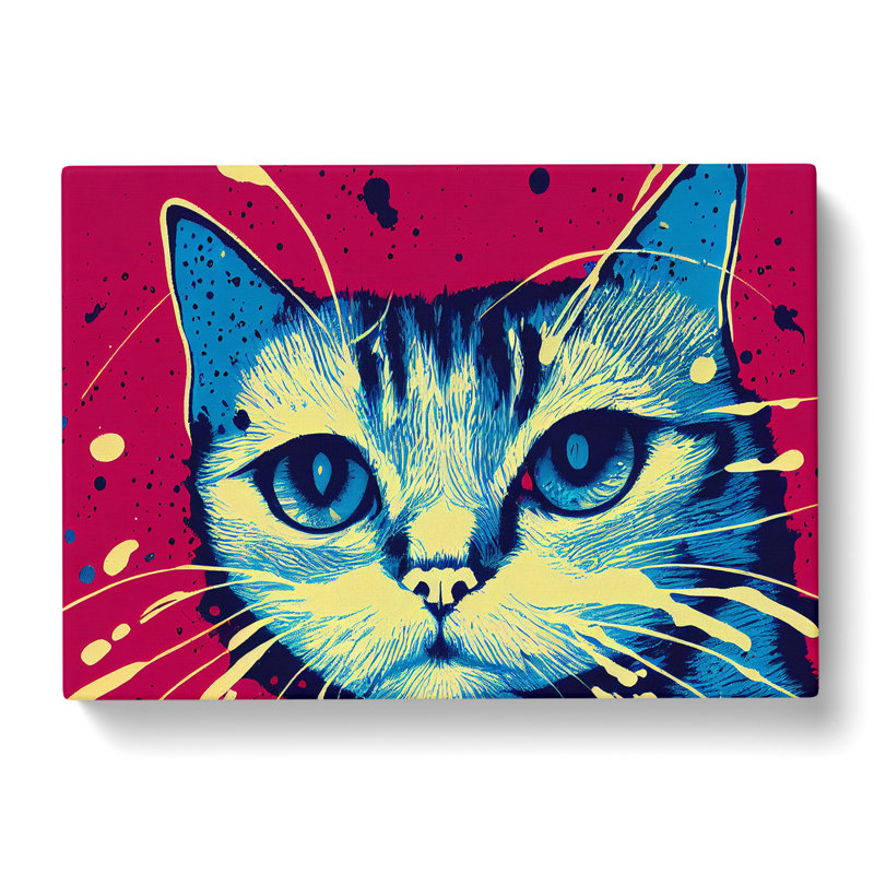 Cat Splashed - Wrapped Canvas