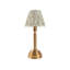 Upton Rechargeable Metal Table Lamp-105031156