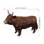 Vache Highland 10 po