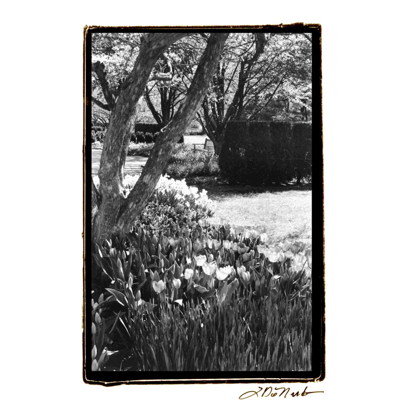 Jardin printanier IV, H 30 po x l 20 po