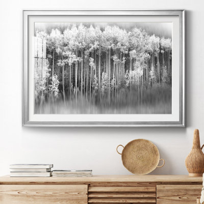 Dreamy Aspen - Photographie avec cadre photo