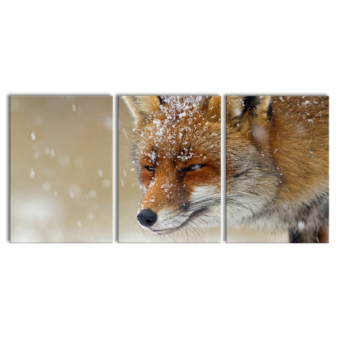 3-tlg. Leinwandbilder-Set Fuchs im Schnee