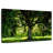 Harnek Overlook Park Tree-107677811