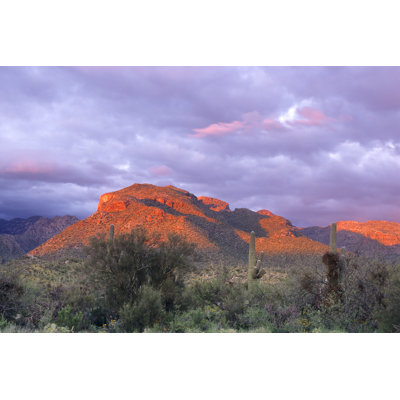 Alpenglow at Sabino Canyon by Cay-Uwe
