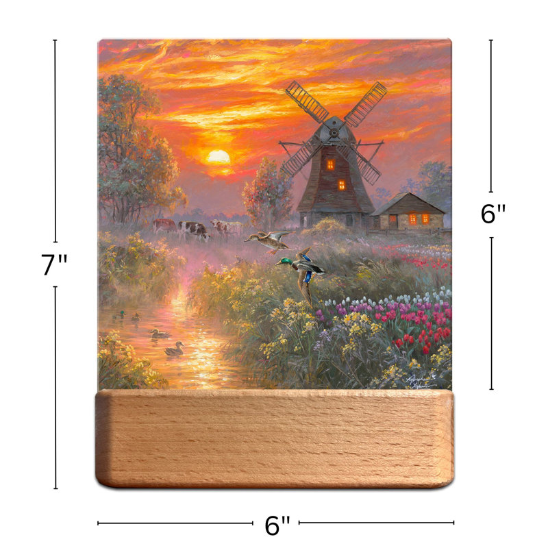 Peaceful Pond LED Nightlight