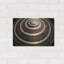 «Shell Spiral III» par Dennis Frates-1378420432