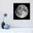 Full Moon by Roth Ritter - Print on Canvas-1341488664-1341488742