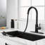 Pull Down Spray Single Lever Kitchen Tap-1277498243