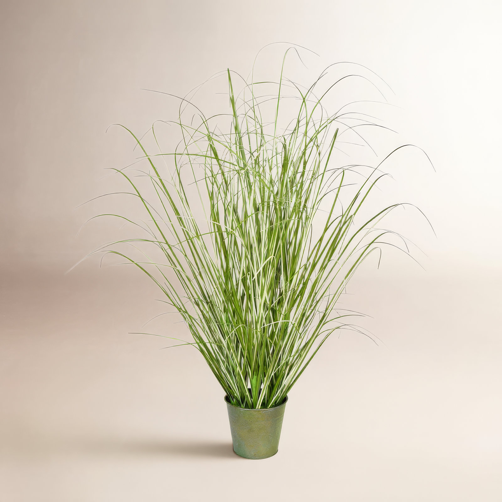 Grass Plant in Pot, 24" H x 19" W x 19" D