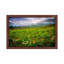 Colorado Flowers by Dan Ballard - Print on Canvas-89237116-50018398