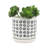 Stoneware Ceramic Saucer Planters with Drainage - Modern Decorative Plant Pots - Durable, Stylish Design for Home and Garden - Set of 2-539194340