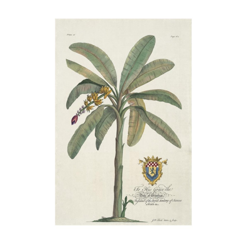 Banana Tree Print by Porter Design, Glass Coat, 27" H x 18" W
